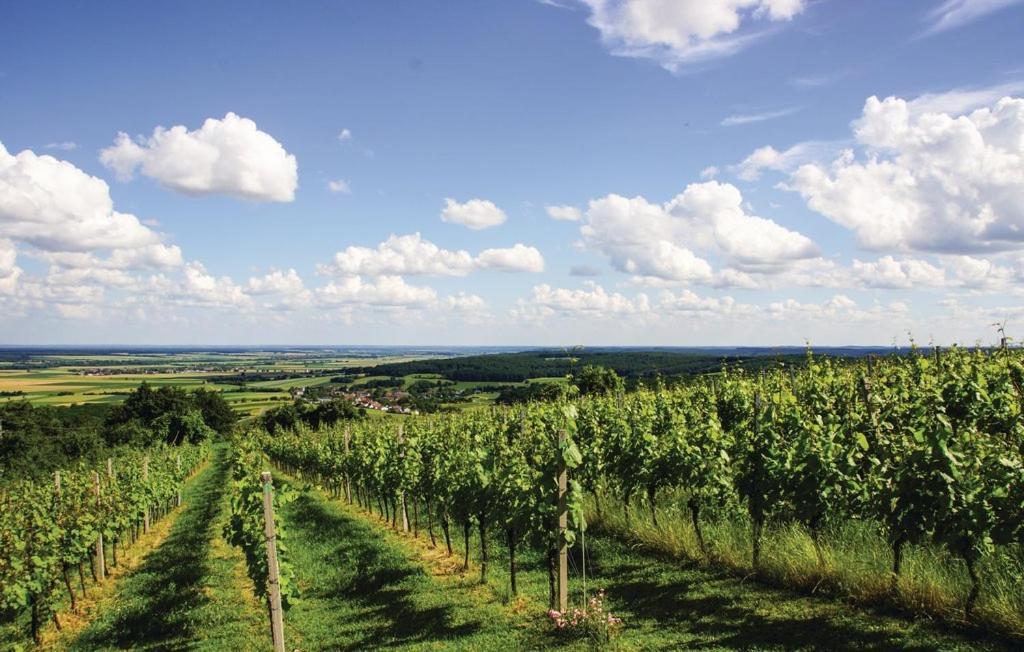 Villa Kellerstoeckl Weinblick I Und II Eisenberg an der Pinka Esterno foto
