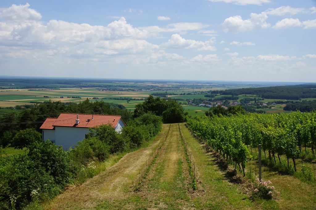 Villa Kellerstoeckl Weinblick I Und II Eisenberg an der Pinka Esterno foto